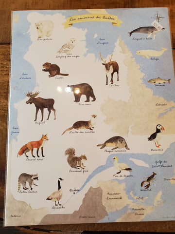 Affiche 14x11 Caroline Andrieu illustrations
