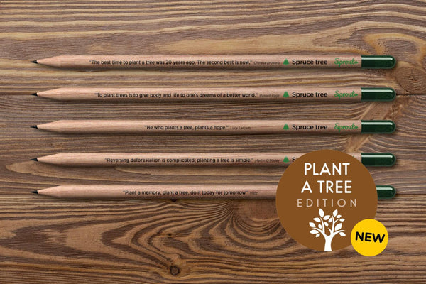 Crayons à planter Sprout
